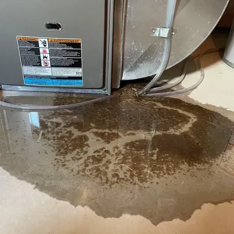 Appliance Leak Cleanup in Kane County, IL